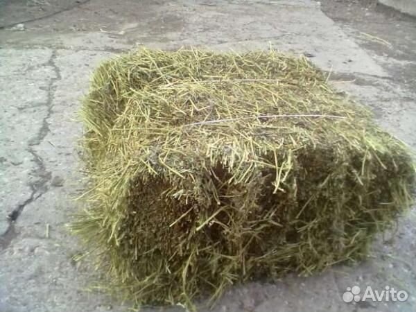 Сено в тюках