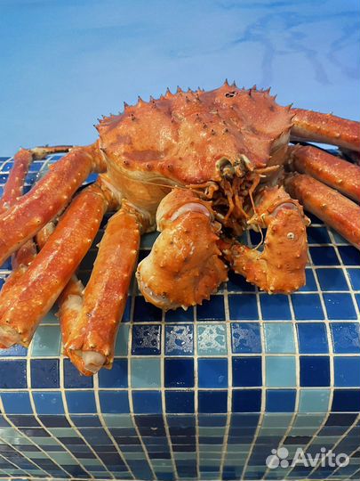 Краб камчатский