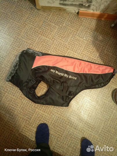 Одежда для средних собак