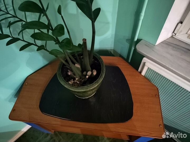 Тумба под телевизор угловая