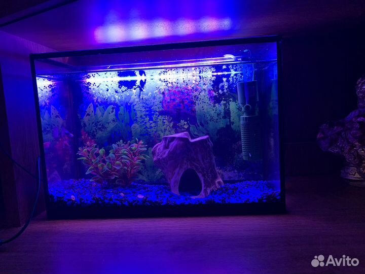 Аквариум