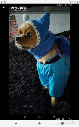 Шапка, шарф с аппликацией на животных