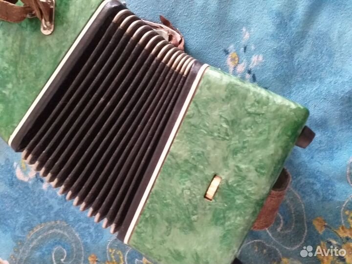 Баян Вологодский