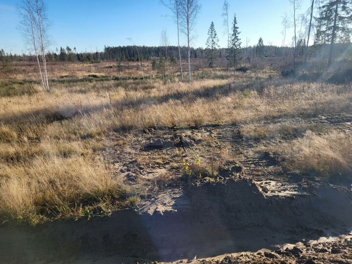 Участок 12 сот. (СНТ, ДНП)