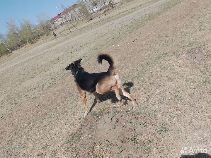 Случка кабеля