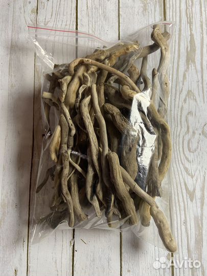 Коряги дрифтвуд