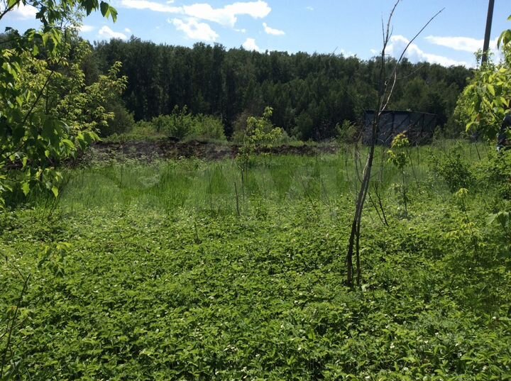 Участок 15 сот. (СНТ, ДНП)