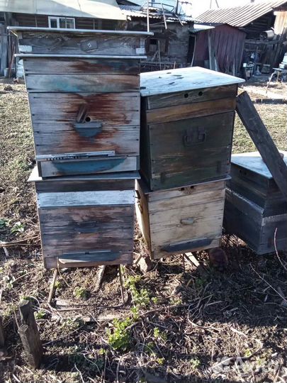 Ульи для пчел бу