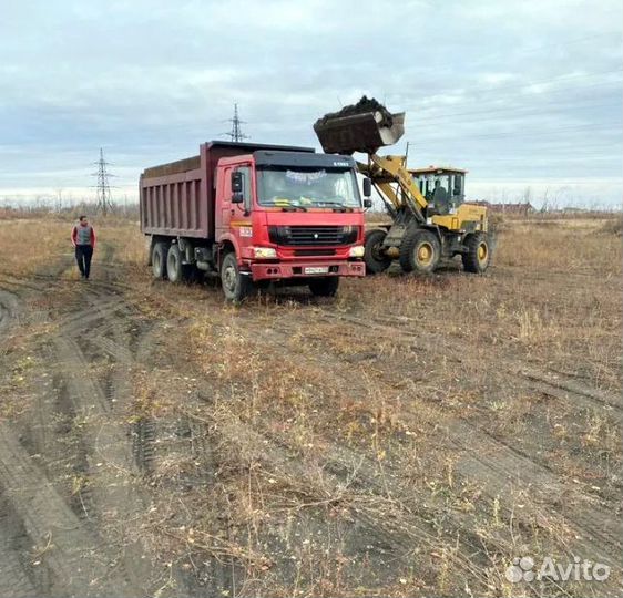 Чернозем