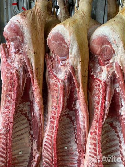 Мясо свинины в полутушках