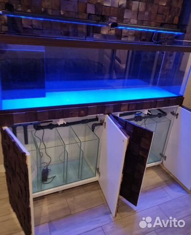 Морские аквариумы на заказ