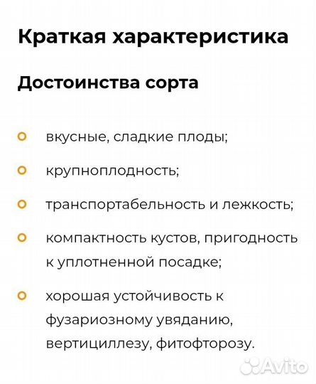 Клубника Петалума