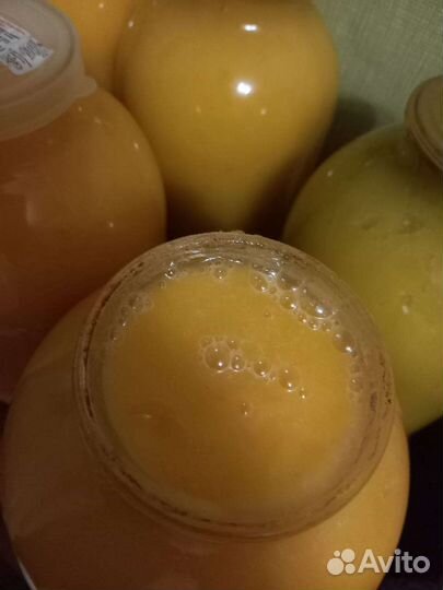 Мед кореандр