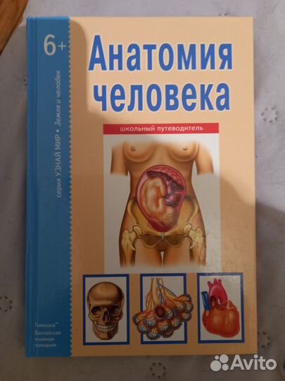 Детская красочная энциклопедия 