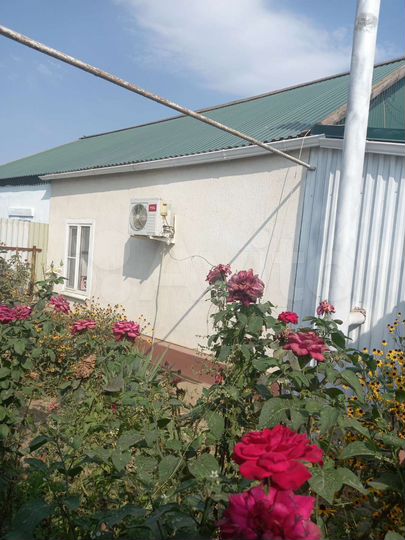 Дом 65 м² на участке 7 сот.