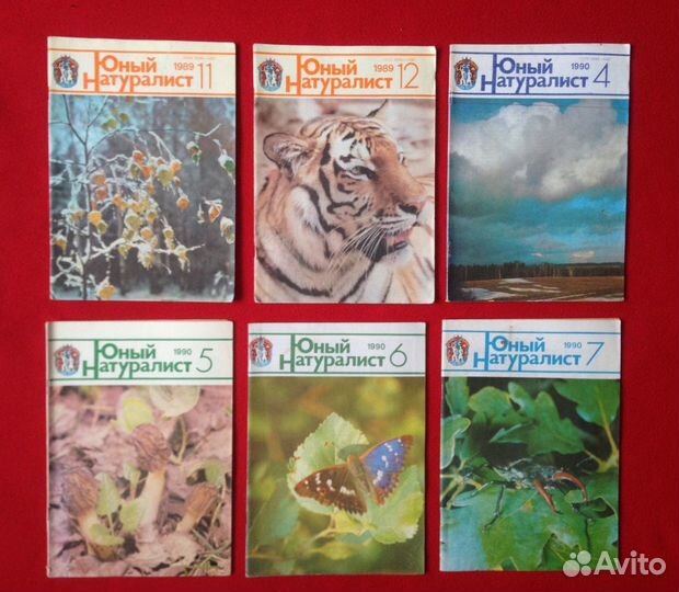 Журнал юный Натуралист