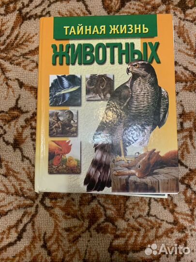 Детская энциклопедия