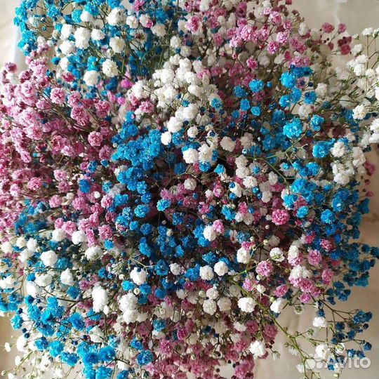 Букеты из гипсофилы