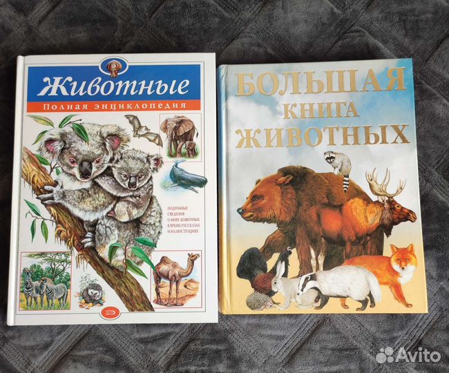 Энциклопедии для детей