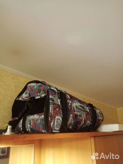 Породистый британец кот