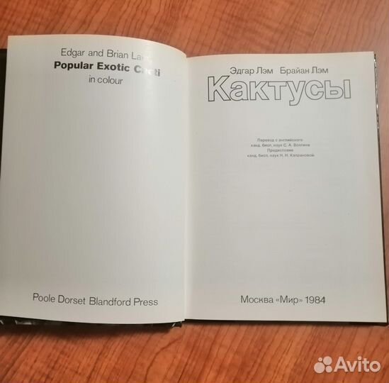 Кактусы