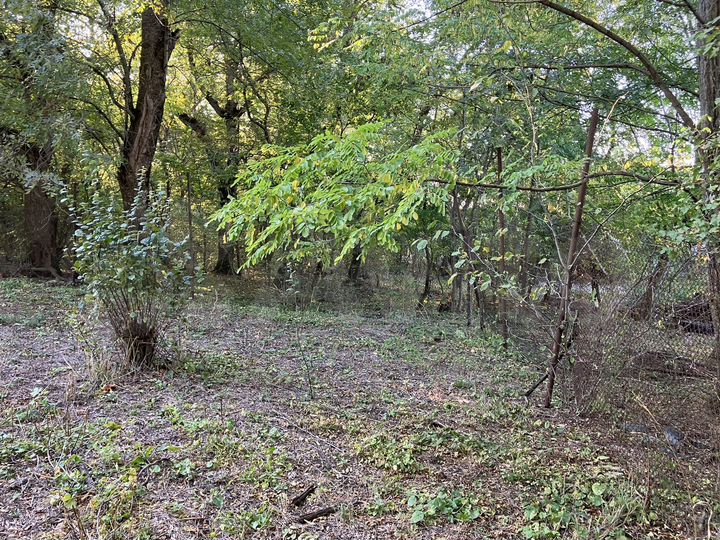 Участок 6 сот. (СНТ, ДНП)