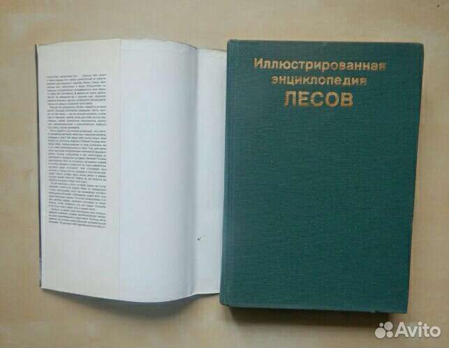 Энциклопедия лесов