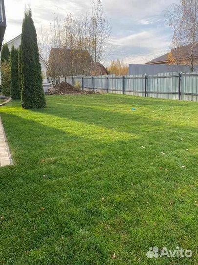 Рулонный газон напрямую от производителя