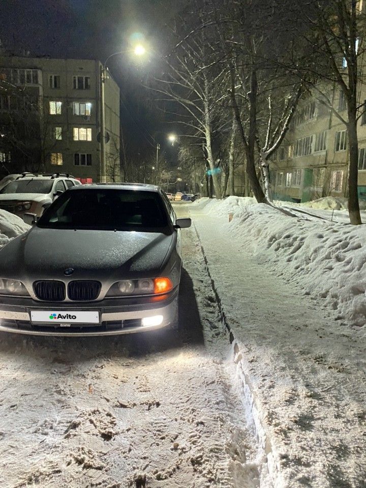 BMW 5 серия: фото владельца