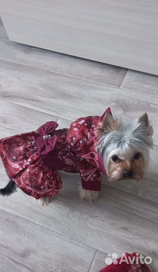Куртка для маленькой собаки