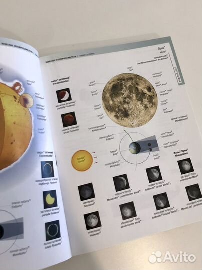 Визуальный словарь русско-немецкий