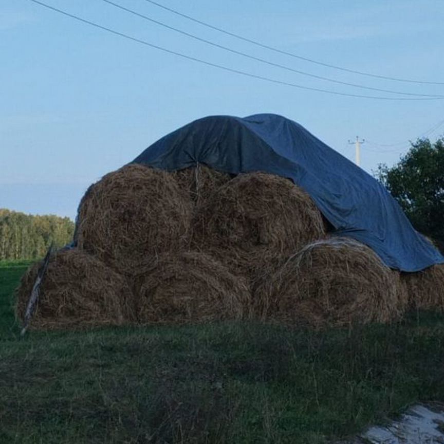 Сено люцерны в рулонах пр145