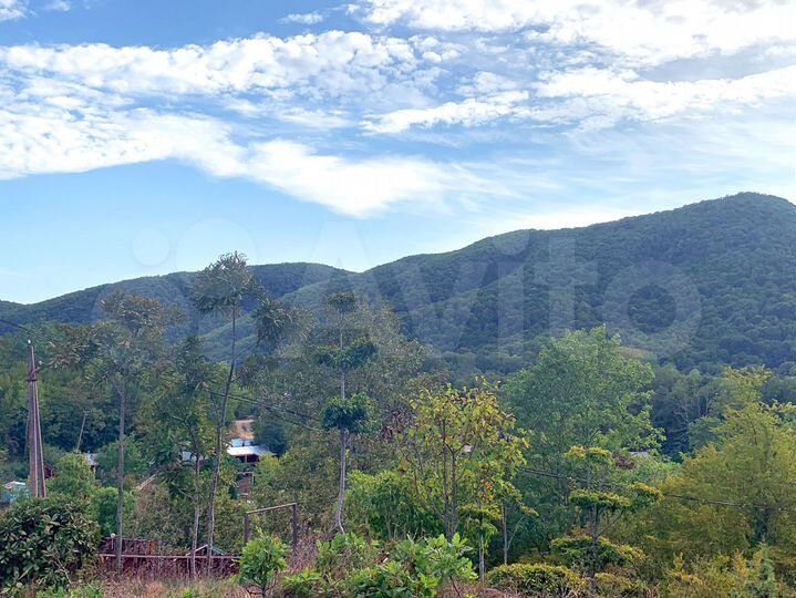 Участок 5,9 сот. (СНТ, ДНП)