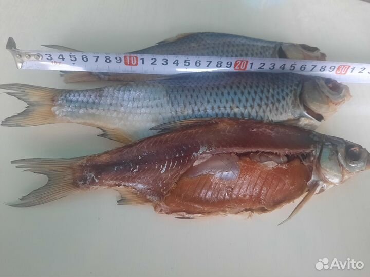 Астраханская Вобла