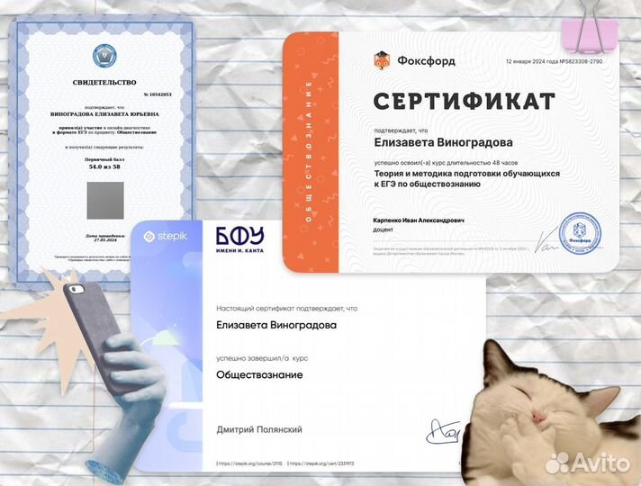 Репетитор по обществознанию