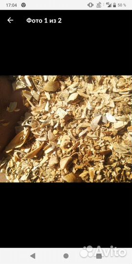 Ракушка не каспийская,речная,чистая