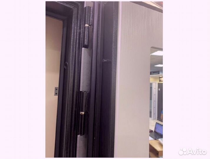 Дверь входная с шумоизоляцией и зеркалом