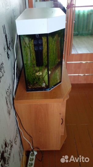 Аквариум