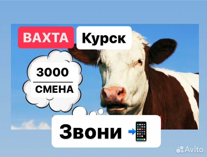 Вахта в Курске. Разнорабочий с питанием + проживан