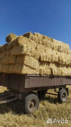 Солома в тюках