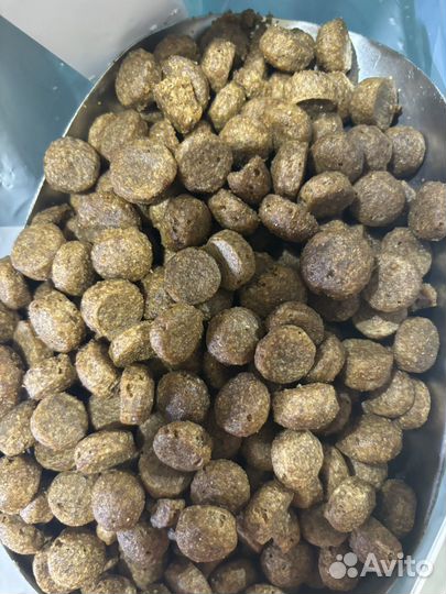 Сухой корм для собак