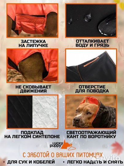 Попона для собак, куртка комбинезон