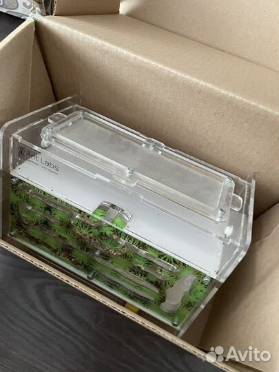 Дом для муравьев