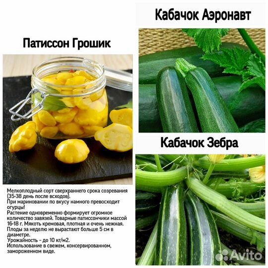 Семена овощей и зелени ГОСТ