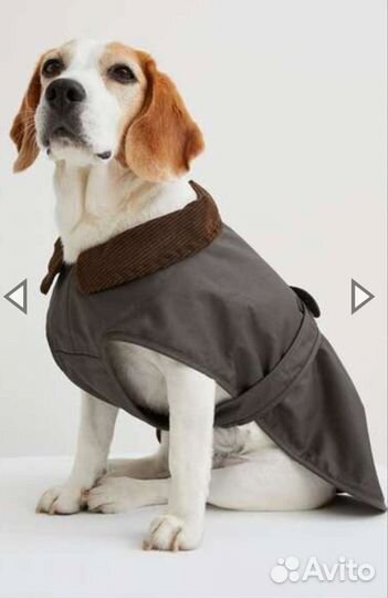 Пальто H&M для собак