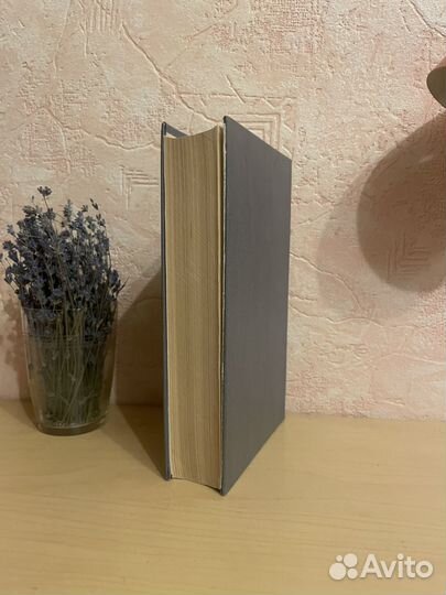 Стаднюк: Война 1988