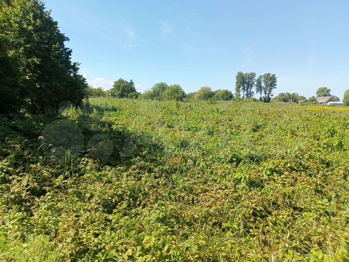 Участок 12 га (СНТ, ДНП)