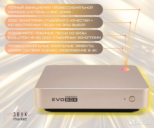 Караоке для дома Evolution Evobox Gold