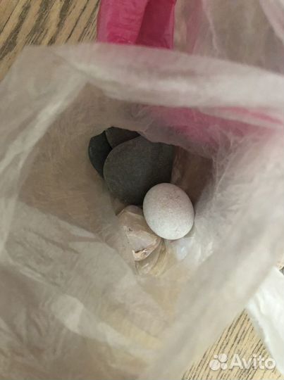 Морские камни ракушки