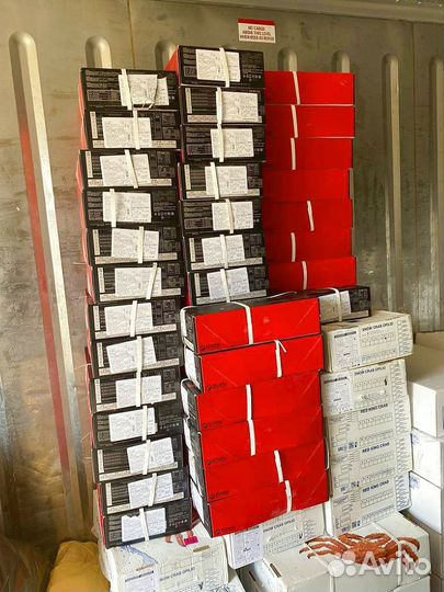 Креветка Северная